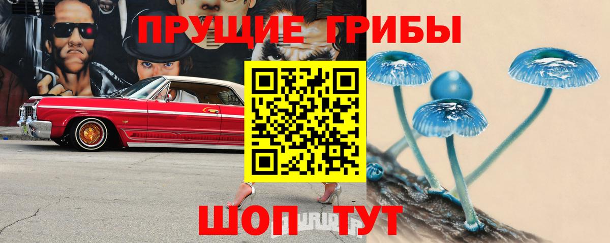 Псилоцибиновые грибы ЛСД  Псилоцибиновые грибы Cubensis  купить   Вход с VPN  Каменка 